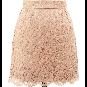 Dolce & Gabbana Rose Lace Mini Skirt - Size Small